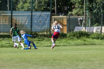 Bild 380 - wBJ Hamburger SV - VfL Wolfsburg : Ergebnis: 5:1